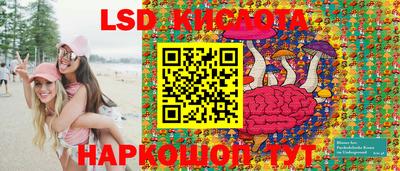 тгк Новозыбков