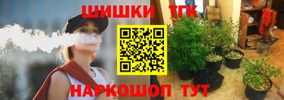 тгк Новозыбков