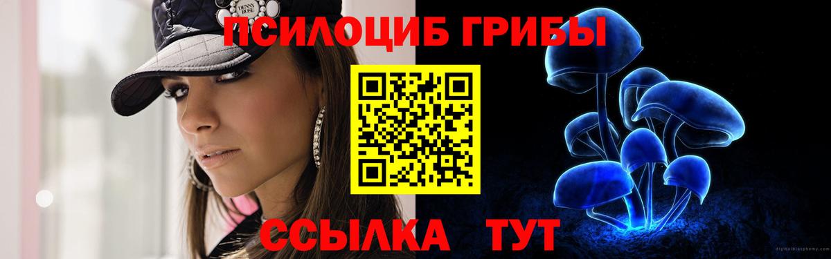 Псилоцибиновые грибы прущие грибы  Вход с VPN  Советская Гавань  Галлюциногенные грибы Cubensis 